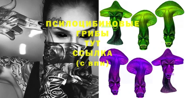 дмт Баксан